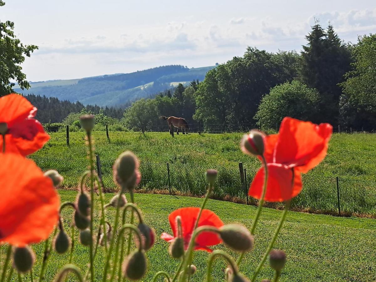 Chanteloup, Maison D'Hotes - Halleux Halleux  ภายนอก รูปภาพ