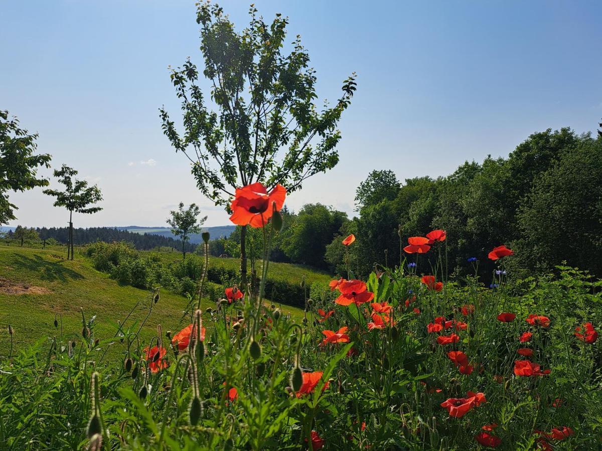Chanteloup, Maison D'Hotes - Halleux Halleux  ภายนอก รูปภาพ