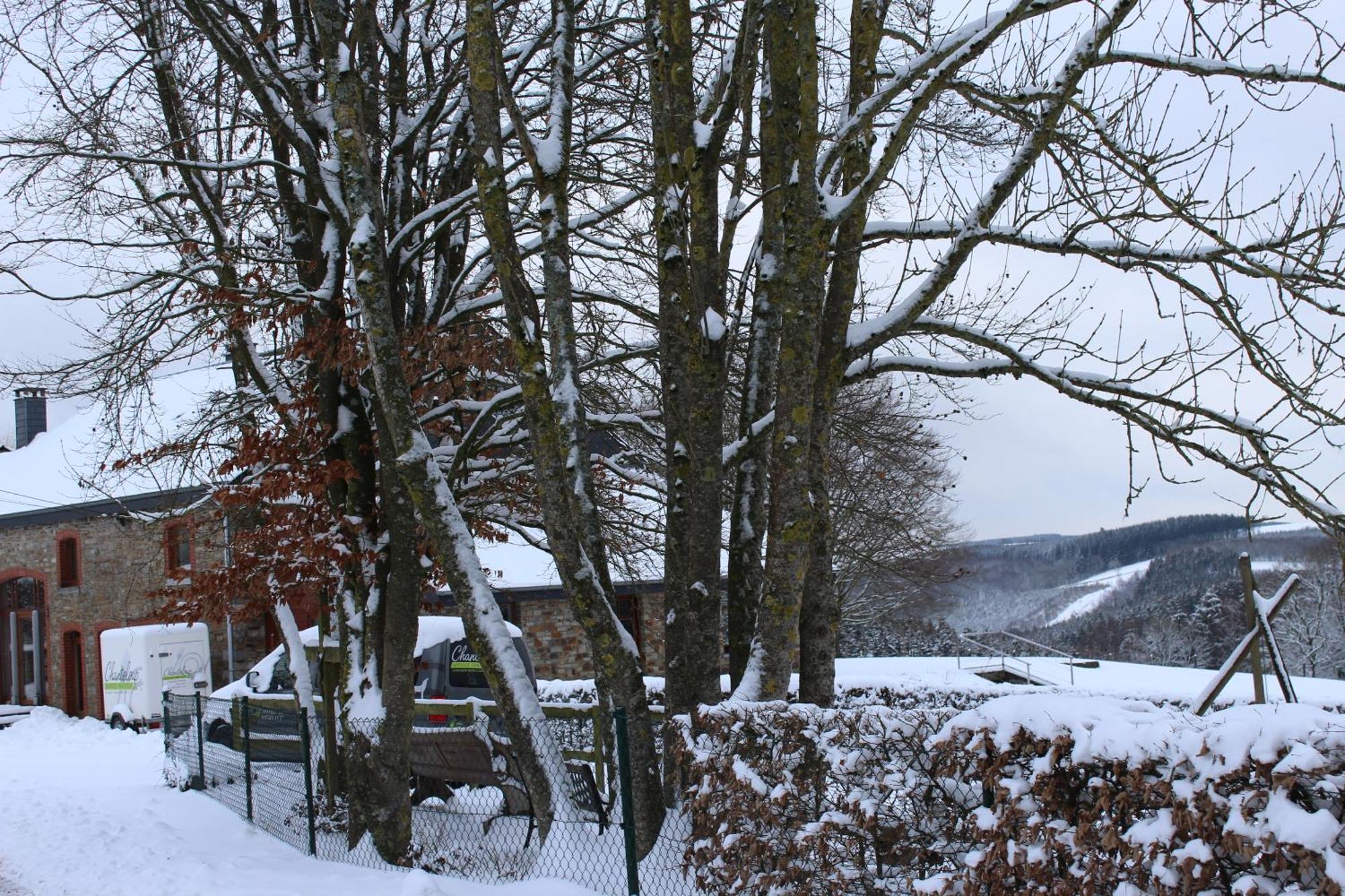 Chanteloup, Maison D'Hotes - Halleux Halleux  ภายนอก รูปภาพ